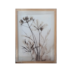Cuadro de Vegetación 40cm x 50cm