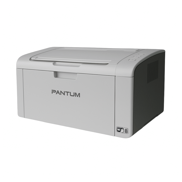 Impresora Laser Monocromática Pantum P2509W Gris