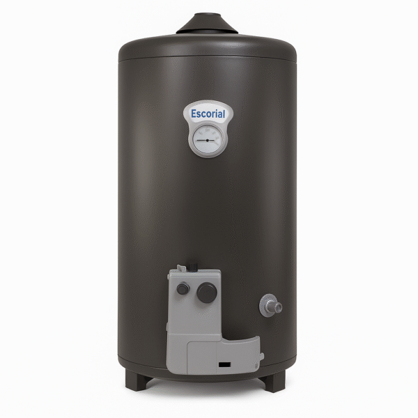 Termotanque Escorial Gieser Multigas 80L - Conexión superior