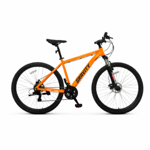 Bicicleta Gravity Benz R29